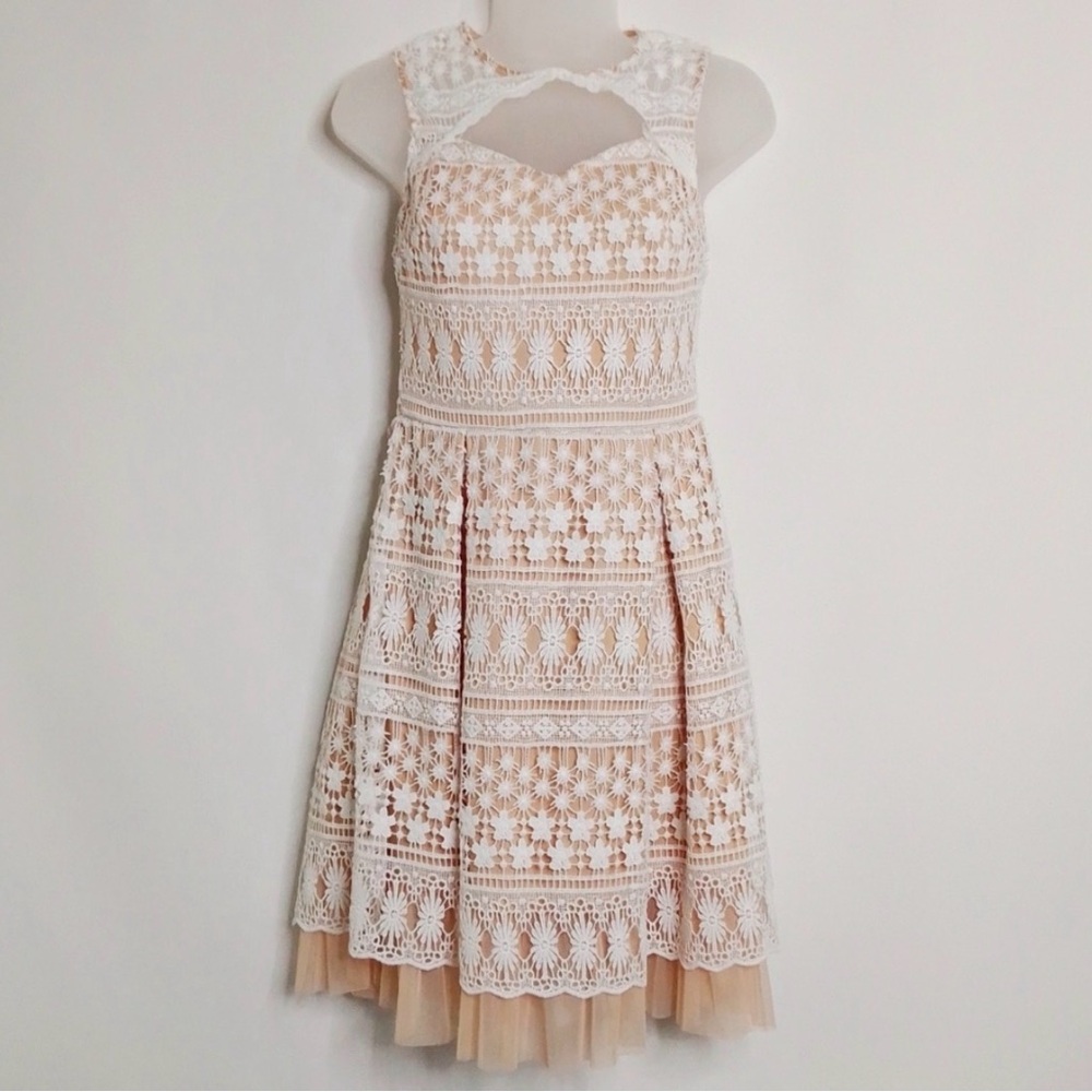 Francesca's Collections White and Blush Lace Fit-and-Flare Dress